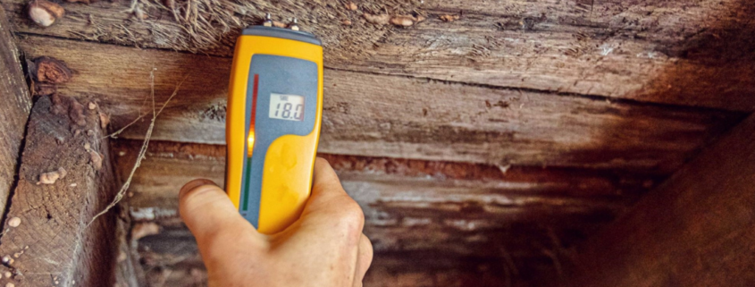 Inspect for mold in your home